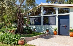 Alesia'S House